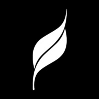 Leaf Studios logo - Similar company to Predulive Labs