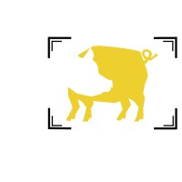 Pigture logo - Similar company to Pigture Creations