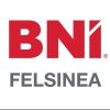 BNI Capitolo Felsinea logo - Similar company to Bni Flaiano - Pescara