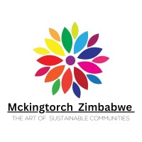 Mckingtorch Zimbabwe logo - Similar company to Esg Now
