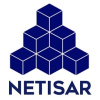 NETISAR logo - Similar company to Pictureme