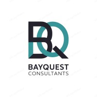 Bayquest Consultants logo - Similar company to Vizia Diagnostics