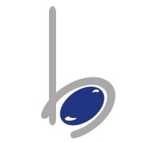 BlueStone Tech Labs Pvt Ltd logo - Similar company to Conversely