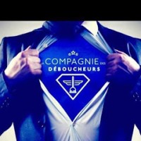 Compagnie des Déboucheurs Pyrénées Atlantiques / Landes logo - Similar company to Human Immobilier Aubigny Les Clouzeaux