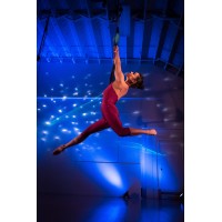UpSwing Aerial Dance Company logo - Similar company to Circus Mojo