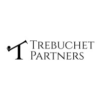 Trebuchet Partners logo - Similar company to Quantiq Analytics, Llc