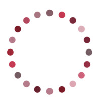 UCT School of Public Health logo - Similar company to Uct Institute Of Infectious Disease And Molecular Medicine