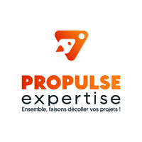 Propulse Expertise logo - Similar company to Ml Plus