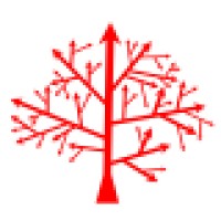 Critical Thinking logo - Similar company to Critical Creative Innovative Thinking - Ccit