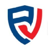 Premium VIN logo - Similar company to Empire Pixel