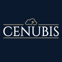 Cenubis GmbH logo - Similar company to Cadenberg