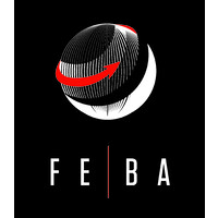 FEBA SYNERGY WORLD TRADING LLC logo - Similar company to E-Box Fulfillment