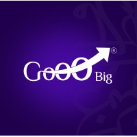 GoooBig logo - Similar company to Techplace