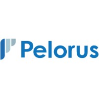 Pelorus Methods logo - Similar company to Peloris