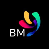 Binary Management logo - Similar company to Phoenix Prime Development
