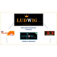 Massimo Castellini - Ludwig D.o.o. logo - Similar company to Memoric Presence