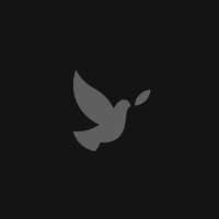 Noah Team logo - Similar company to Swiftwizz Consulting