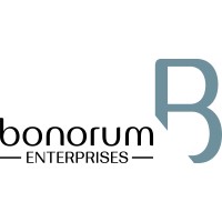 Bonorum Enterprises logo - Similar company to North Point Advisory Services