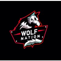 WOLFNATION PRIVATE LIMITED logo - Similar company to On.Content
