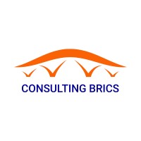 Consulting Brics logo - Similar company to O Expresso
