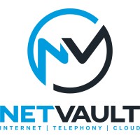 NetVault logo - Similar company to Amreen It