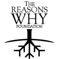 The Reasons Why Foundation Cic