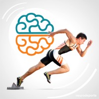 Neurociencias y Deporte logo - Similar company to Casa De Pedra