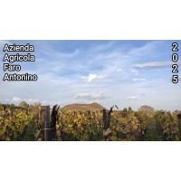Azienda Agricola Faro Antonino logo - Similar company to Tuttorisolto