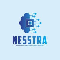nesstra logo - Similar company to Kapitan