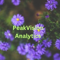 PeakVision Analytics logo - Similar company to Leiomyosarcoma Support & Direct Research Foundation