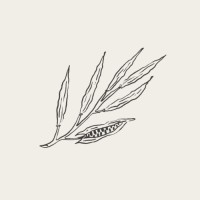 Kléo logo - Similar company to Kleo