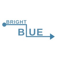 Bright Blue Corp.