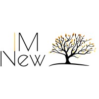 New IM logo - Similar company to Jarabák