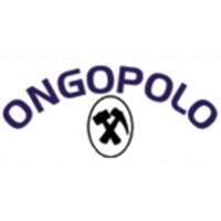 Ongopolo Mining Limited logo - Similar company to Consolidated Copper Corp