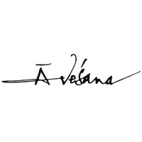 Avesana - Architecture Landscape Interiors logo - Similar company to Studio Novoforma