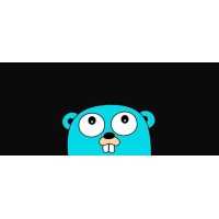 Golang Pakistan logo - Similar company to Golang
