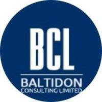 Baltidon Consulting Limited logo - Similar company to Demeraldstudys