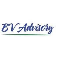 BV Advisory logo - Similar company to Bv Advisory Group