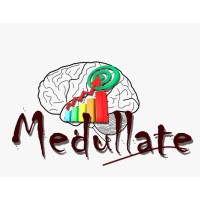 Medullate logo - Similar company to Zumatik