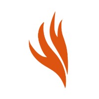 Firebird logo - Similar company to Strategic Neurodiversity Partners