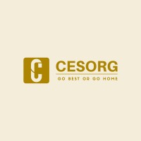 CESORG a.s. logo - Similar company to Aiccon Group