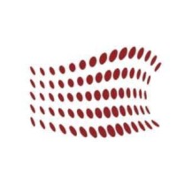 Capitolium Consulting LLC logo - Similar company to Soty