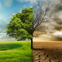 Climate Change Mitigation LLC logo - Similar company to Oregon League Of Conservation Voters