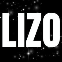 Lizo logo - Similar company to Silicon Ventures