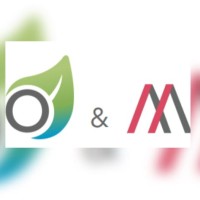 SYNOVIVO MANAGERIA ASIA logo - Similar company to Météo89