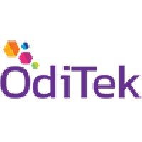 OdiTek Solutions logo - Similar company to Iserveu
