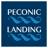 Peconic Landing logo - Similar company to Solutions Advisors