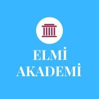 Elmi Akademi logo - Similar company to Elmi̇edu