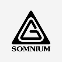 SomniumGame logo - Similar company to Cheers