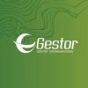 Gestor Consultoria logo - Similar company to Executiva Recursos Humanos